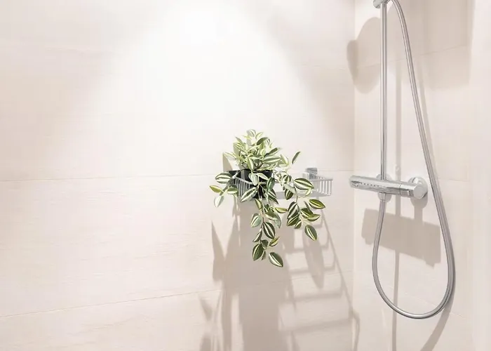 Brockenoase Bergzauber Lägenhet Benneckenstein